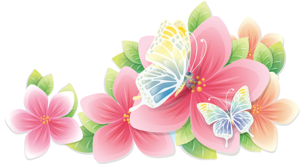 Летние цветы на прозрачном фоне