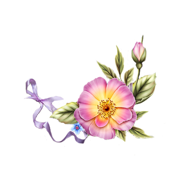 Цветы без фона