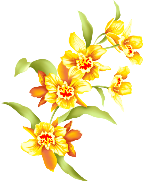 Нарисовать цветы