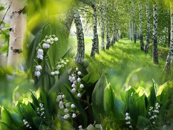 Пейзаж с ландышами