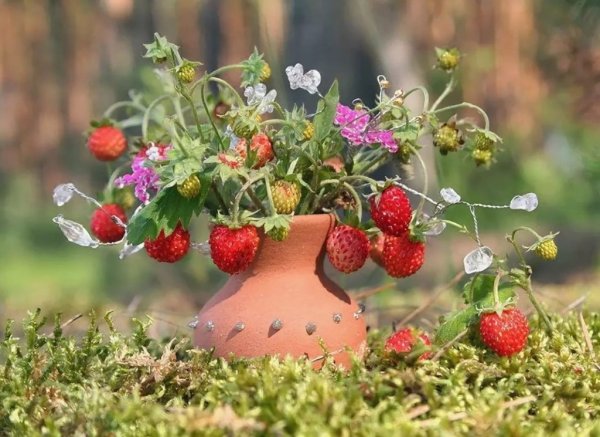 Букет полевых цветов и земляники
