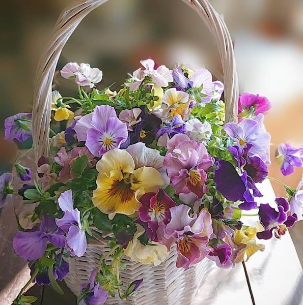 Доброе утро пионы