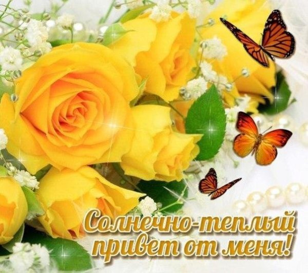 Прекрасного дня и отличного настроения