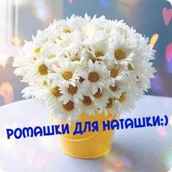 Ромашки для Наташки