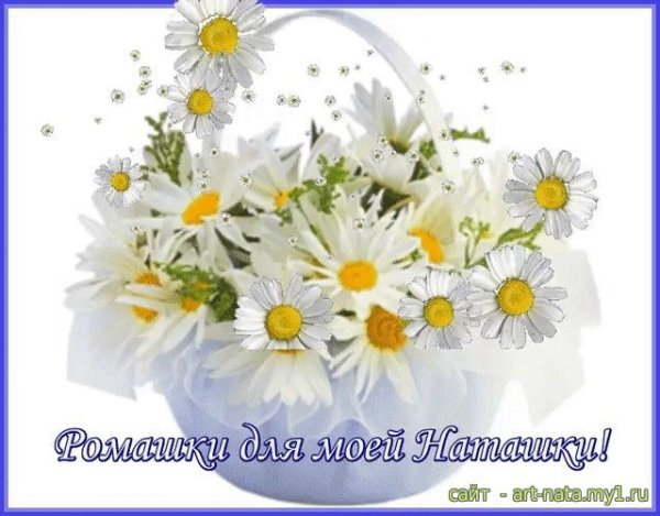 Ромашки для Наташки
