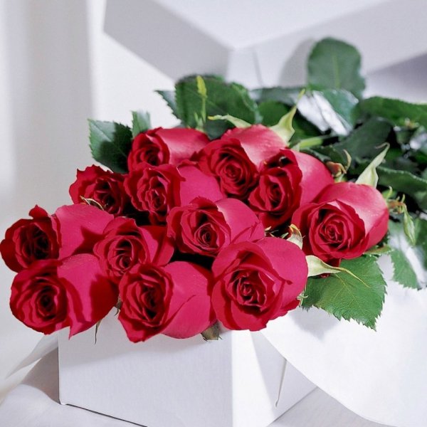 Наташа надпись