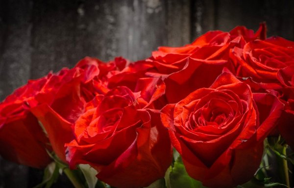 Миллион роз