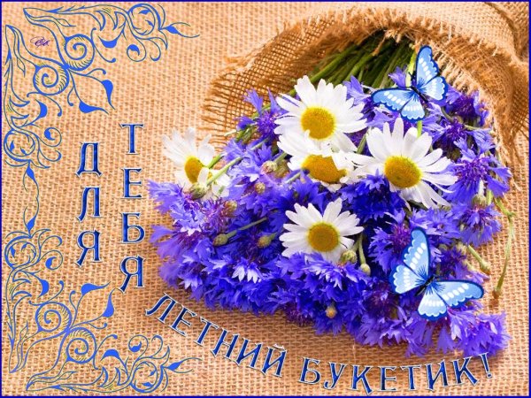 Добрые пожелания с васильками