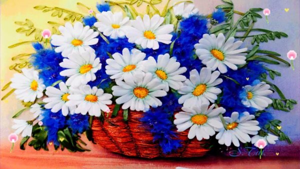 Ромашки и васильки