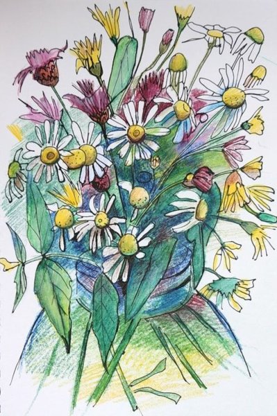 Полевые цветы цветными карандашами