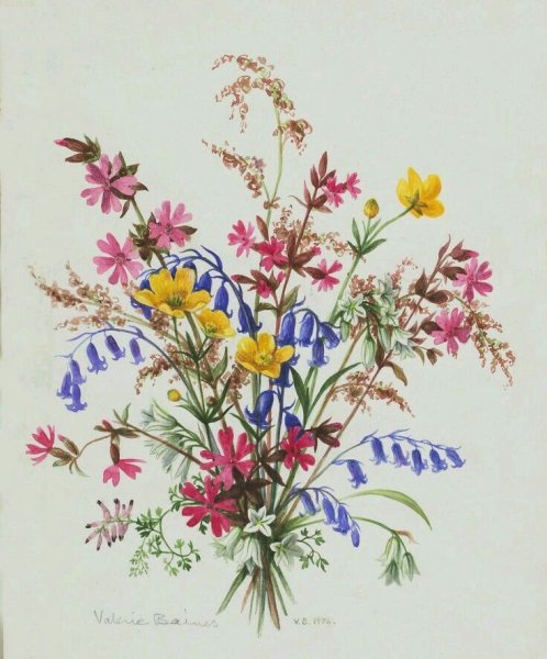 Полевые цветы в акварели Уэнди Тейт