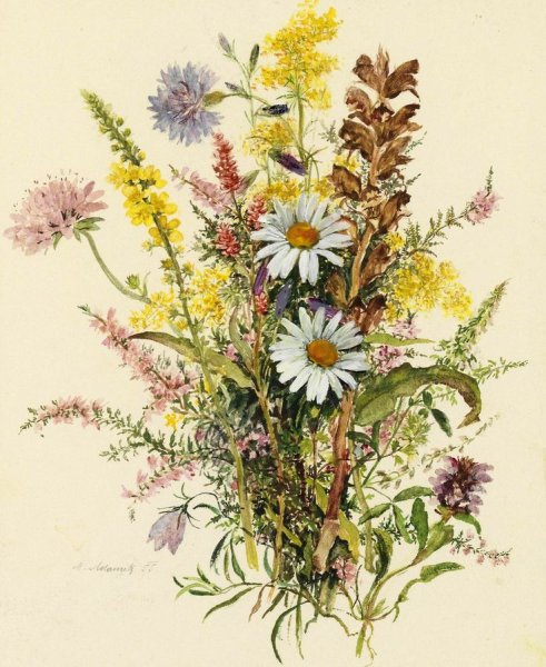 Полевые цветы для декупажа