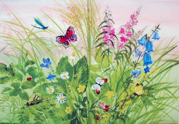 Последние цветы м.м пришвин