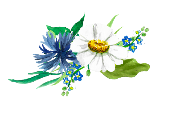 Васильки акварелью