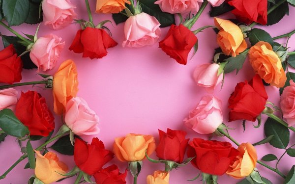 Поздравления с днём рождения Ольге