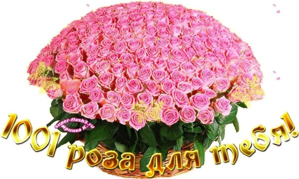 Поздравить Ольгу с днем рождения