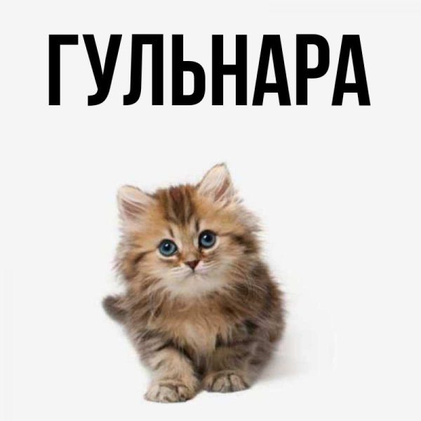 Гулечка картинки