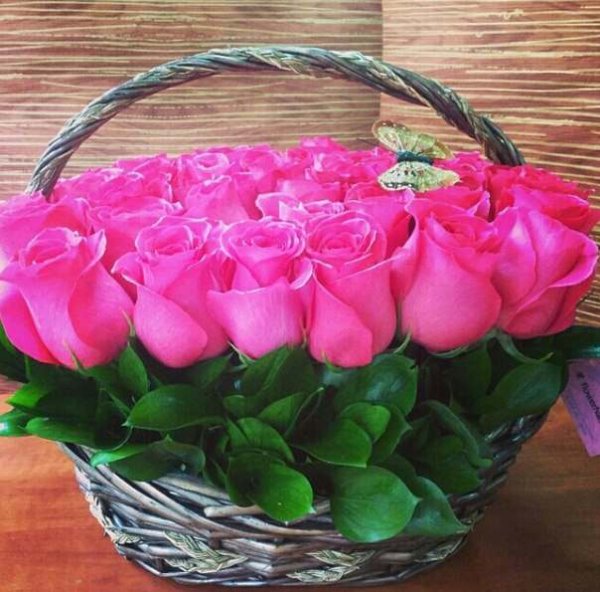 С днём рождения Аллочка