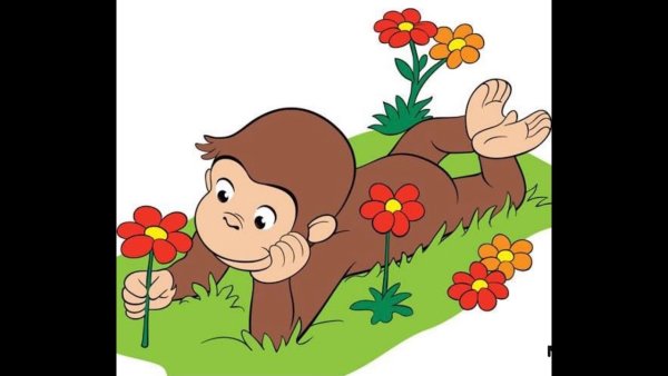 Обезьяна в полотенце