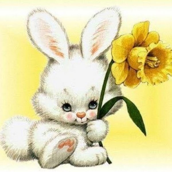 Заяц Шнуфель тусовка Зайцев