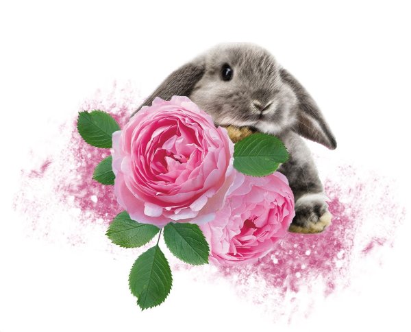 Зайка акварель