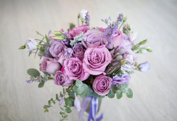 Пионовидная сирень