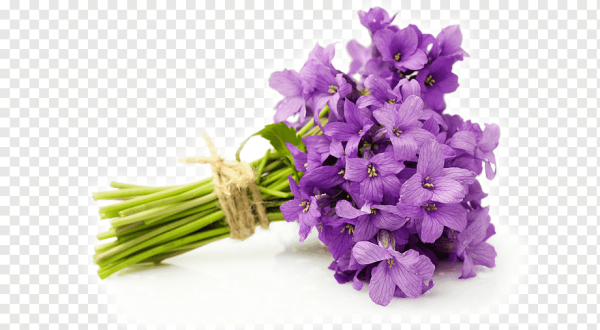 Фиолетовые розы