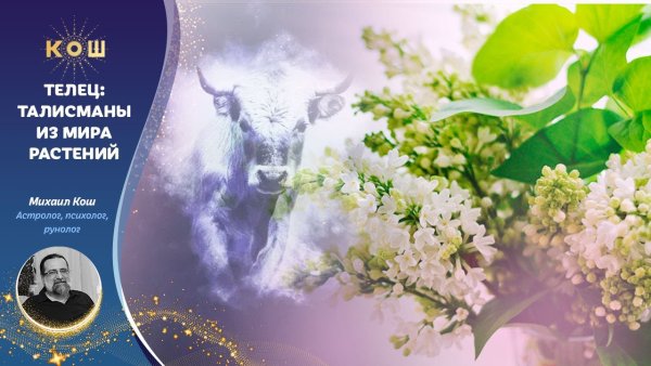 Цветок талисман тельцу