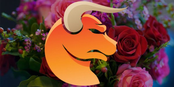 Телец цветы для женщины