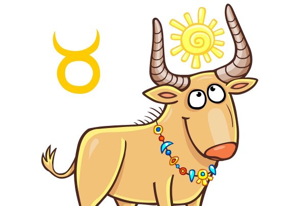 Комнатные растения тельца