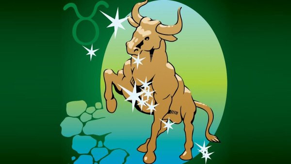 Знаки зодиака цветы