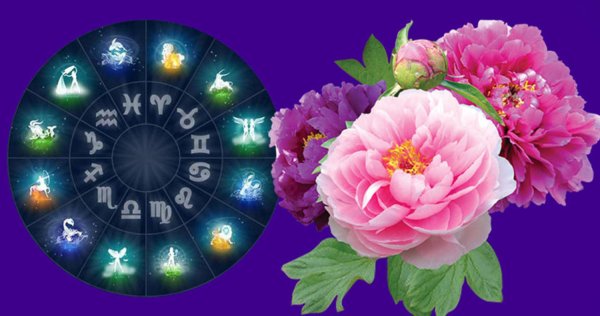 Цветы по гороскопу