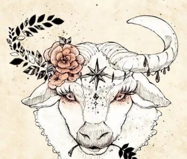 Тату Овен цветная