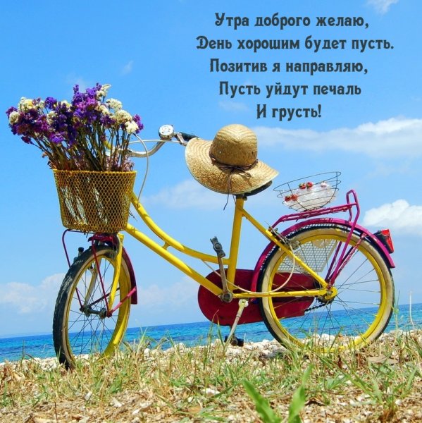 Корзина с цветами