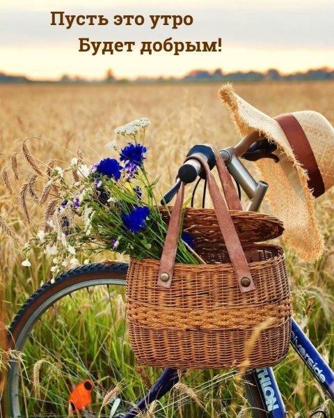 Добрый вечер сентября на велосипеде с пожеланиями