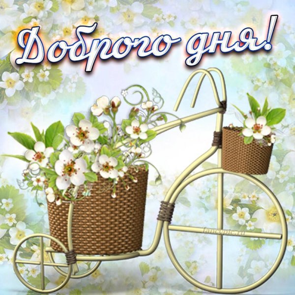 Лаванда велосипед Прованс