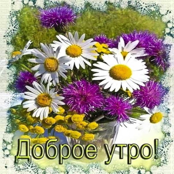 Стильные поздравления с добрым утром