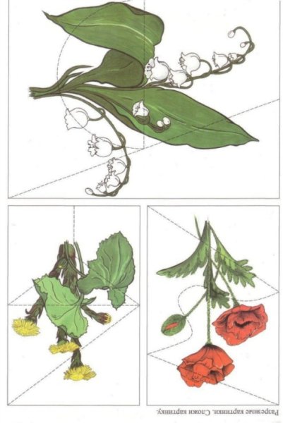Разрезные картинки цветы