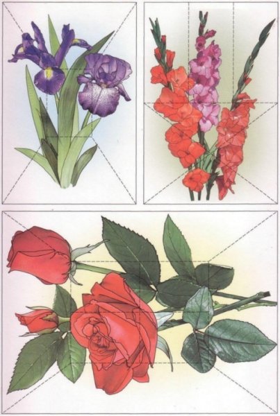 Цветок разрезной