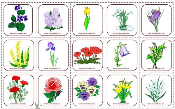 Игра Собери растение