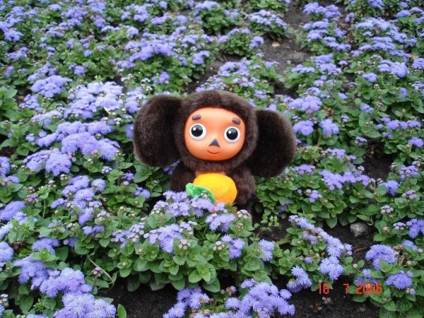 Кукольная мультипликация Чебурашка