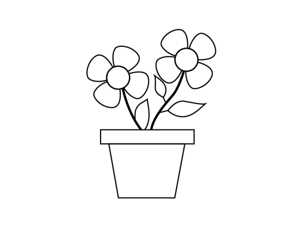 Раскраска цветы простые