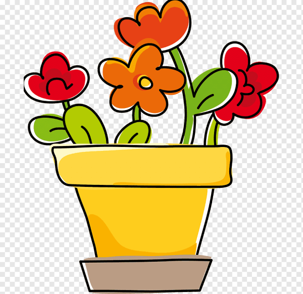 Узамбарская фиалка раскраска