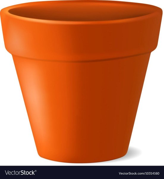 Поэтапный рисунок кактуса