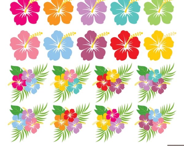 Трафарет цветов для гавайской вечеринки