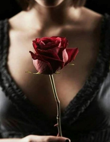 Красивые мусульманские фото на аву