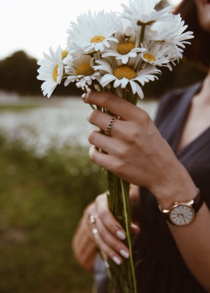 Роза на книге