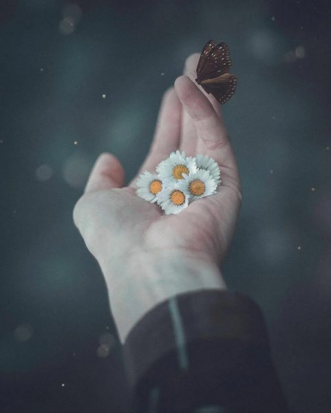 Афоризмы про счастье