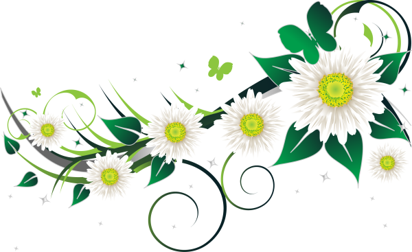 Орнамент ромашки