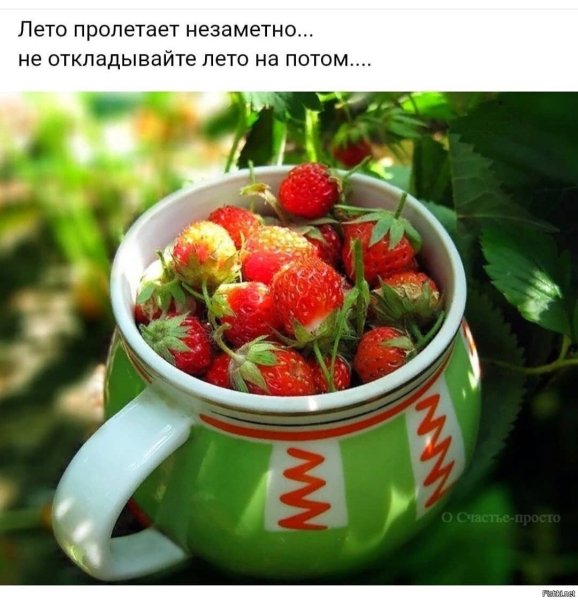 Клубника чай утро